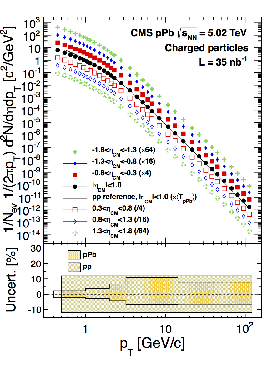CMS Charged particle RpPb